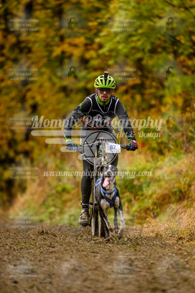 MompixPhotography_ICF_WC_2024_SA_Bike_-46 | PayLife