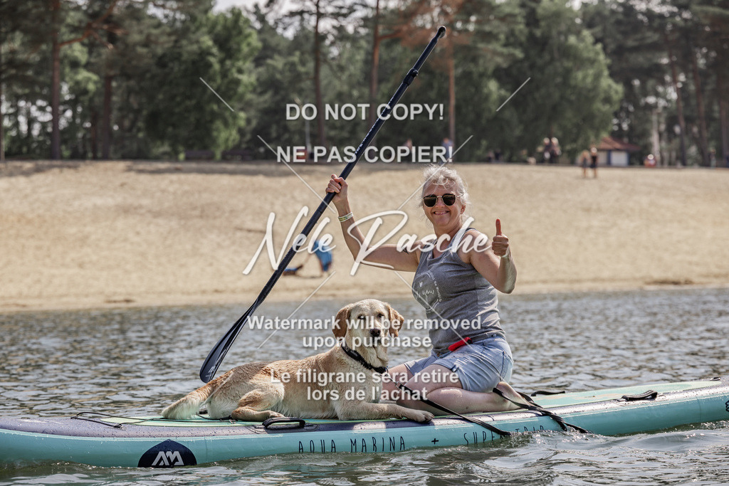 BUHU_SUP_482 | nelerasche