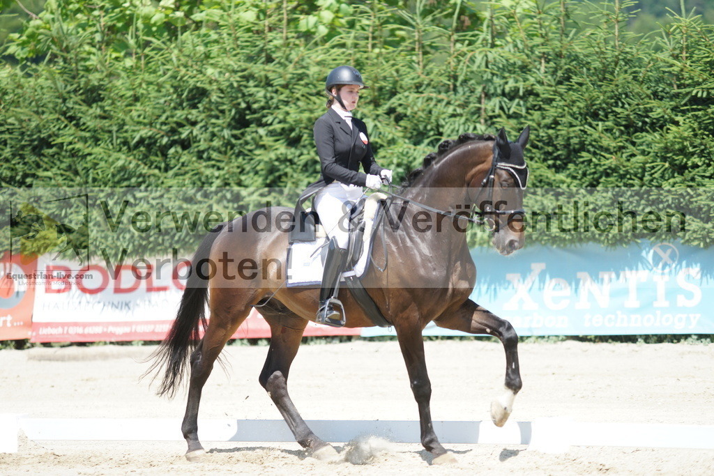 DSC03238 | equestrian-live-com