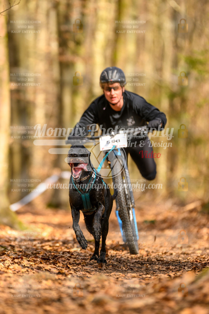 MompixPhotography_Habay2025_SA_SCO-29 | PayLife