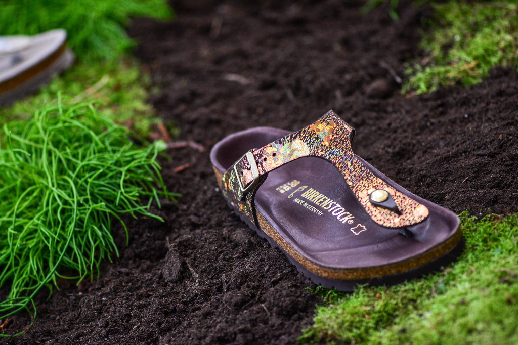 500Birkenstock21112016_Foto_SWernz | Fotograf Köln - Realisiert mit Pictrs.com