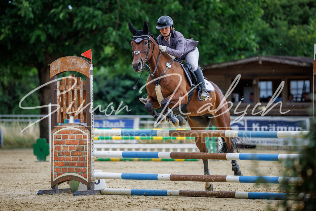 20260705-_3LI5102 | Tierfotografie Pferde, Hunde, Katzen, Haustiere.
Turnierfotografie Reitturniere, Reiten, Springreiten, Dressur in Hanau, dem Main-Kinzig-Kreis und dem Rhein-Main- Gebiet um Frankfurt