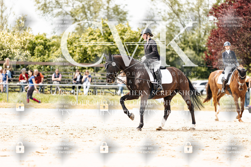 CK902150 | Turnierfotografie Pferdefotografie Trier Rheinland-Pfalz Pferdesport Reitsport Tierfotografie Sportfotografie Pferdevideo Pferdevideografie Equestrianvideography equestrianphotography  - Realisiert mit Pictrs.com