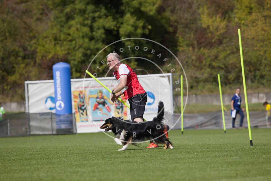 0L8A2589 | Hundefotografie, Tierfotograf, Pfotenfotografie, Fotoshooting Hund, Hunde Portrait, Hundesport, Hundeportraits, Heideshooting, Hunde, Sportfotograf, Hundefotograf, Turnierhundsport, THS,  - Realisiert mit Pictrs.com