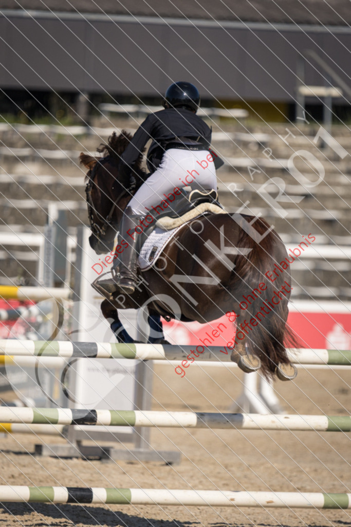 IMG_3564 | Sport-, Event- und Tierfotos in Profiqualität. Einfach auswählen, bestellen und herunterladen. Dein Moment – perfekt festgehalten.
