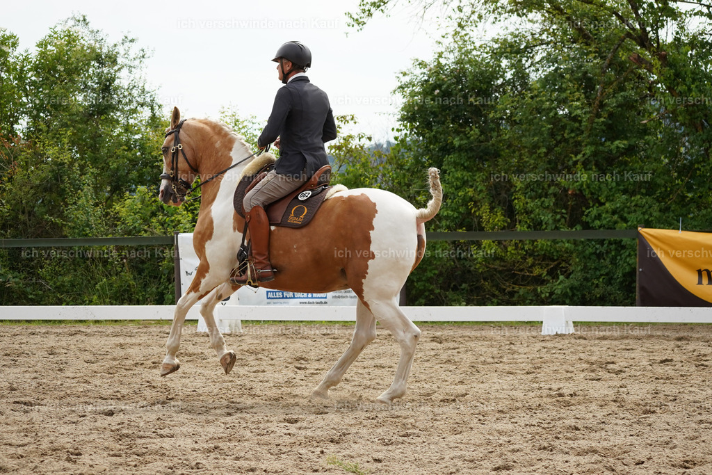 KlasseS_Lucie559 | working equitationturnier fotograf videograf stoibphotography marixx film working equitation deutschland reitsport turnierfotografie eventfotografie equestrian events