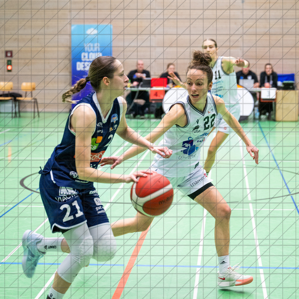 2. DBBL Nord 24/25 | 19.01.2025 | BBC OS vs. VfL VIACTIV-AstroLadies Bochum | 2. DBBL Nord 24/25 | 19.01.2025 | BBC OS vs. VfL VIACTIV-AstroLadies Bochum - - - - - CREDIT, www.bullenfotos.de, Martin König, Hörner Weg 40, D-49078 Osnabrück, +4917663732967, Nutzung und Weitergabe nur zu den vereinbarten Zwecken. Presseanfragen an Urheber. Alle Rechte beim Urheber. - - - - - - Realisiert mit Pictrs.com