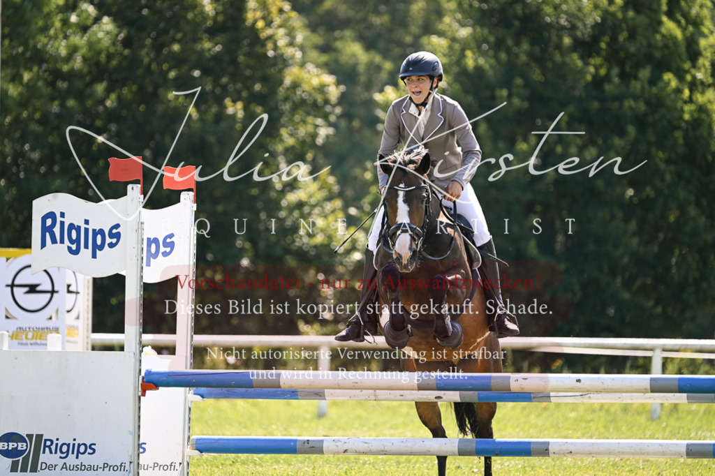 DSC_8927 | Pferde- und Turnierfotografie in Westsachsen. Pferdeportraits, Auftragszeichnungen und intuitive Kunst.