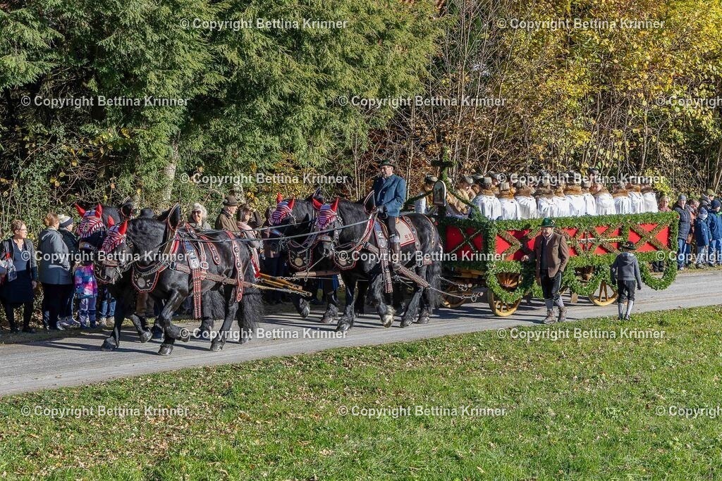 LBT25-396 | foto-bettina-krinner - Realisiert mit Pictrs.com
