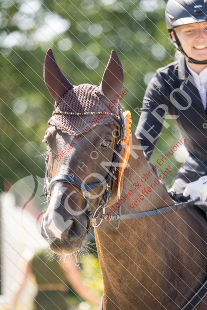 IMG_3505 | Sport-, Event- und Tierfotos in Profiqualität. Einfach auswählen, bestellen und herunterladen. Dein Moment – perfekt festgehalten.