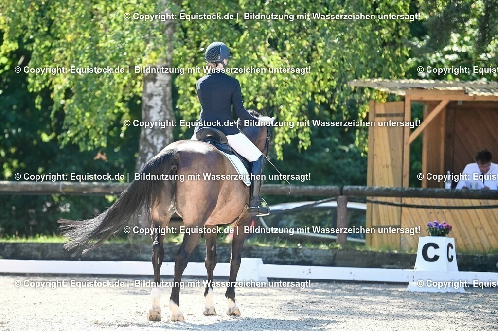 20230908_06_Dressur-L-Trense_0458 | equistock