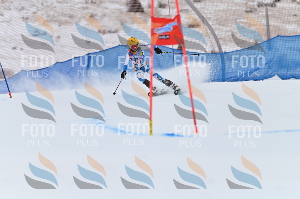 BGV_1275 | holidayphoto