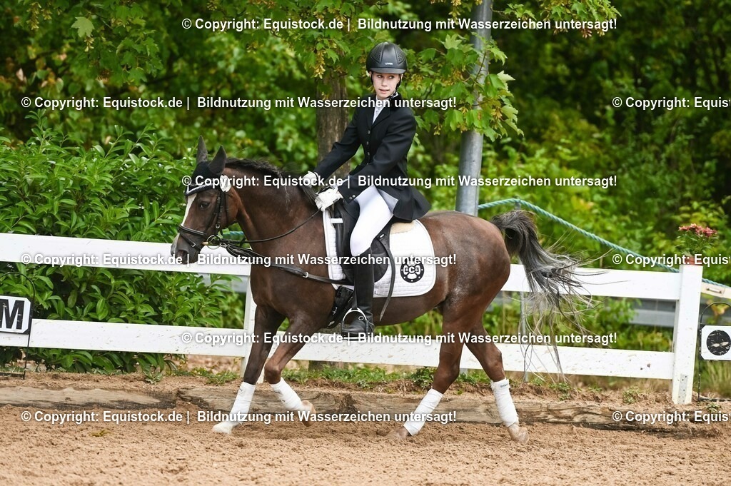 20230716_10-2_Reiter-WB Schritt - Trab - Galopp_0089 | equistock