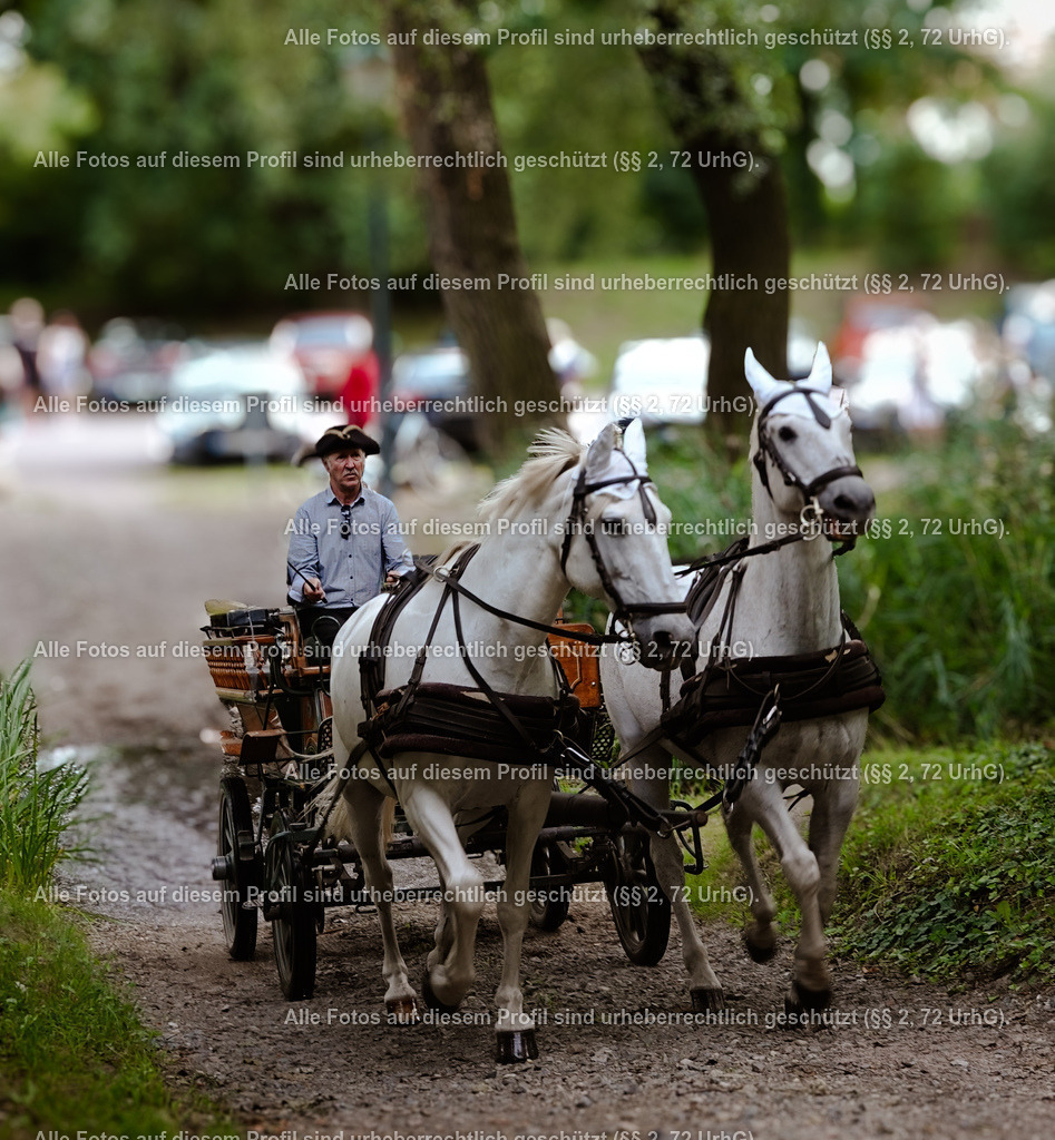 BMF09228_6 | krollfotografie - Realisiert mit Pictrs.com