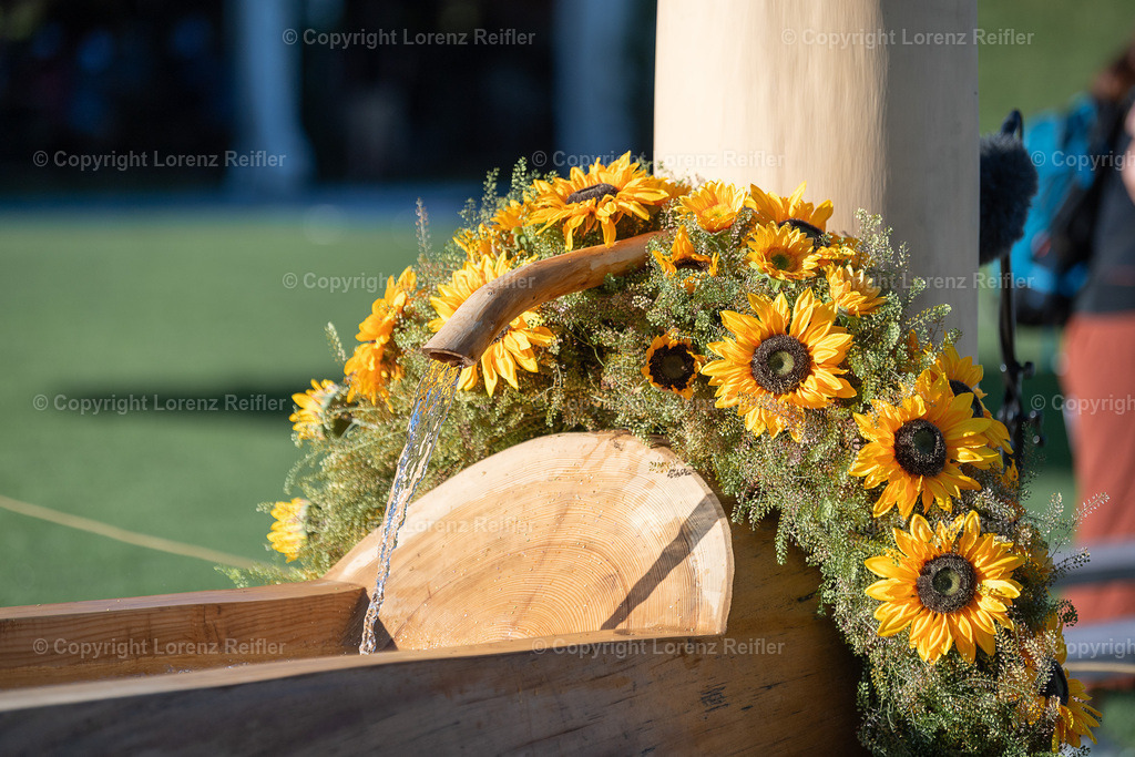 Schwingen -  NOS 2025 | St.Gallen, 29.6.25, Schwingen - NOS.