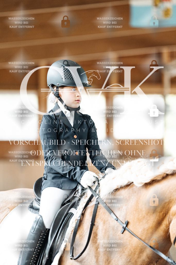 CK901977 | Turnierfotografie Pferdefotografie Trier Rheinland-Pfalz Pferdesport Reitsport Tierfotografie Sportfotografie Pferdevideo Pferdevideografie Equestrianvideography equestrianphotography  - Realisiert mit Pictrs.com