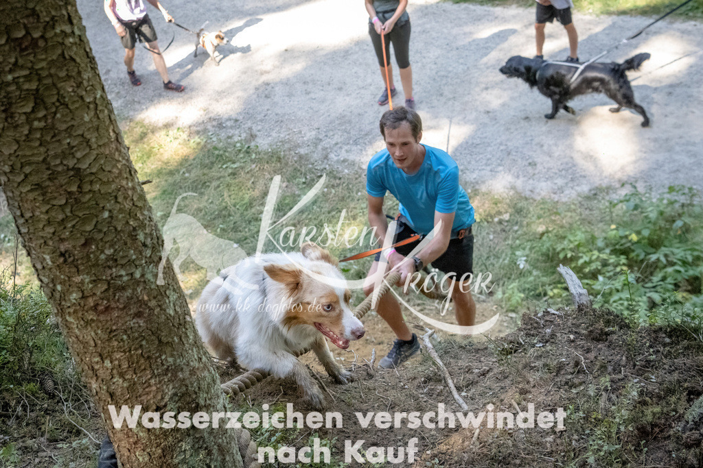 1214_ZZ93560 | kk-dogfotos