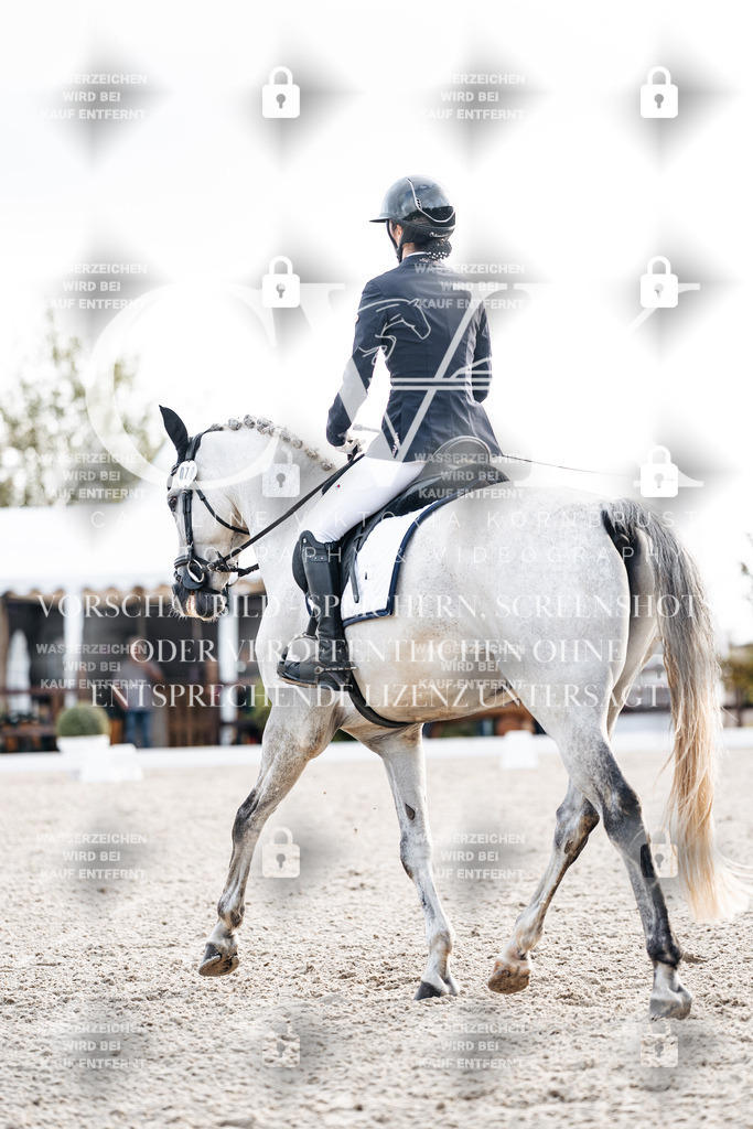 CK900597 | Turnierfotografie Pferdefotografie Trier Rheinland-Pfalz Pferdesport Reitsport Tierfotografie Sportfotografie Pferdevideo Pferdevideografie Equestrianvideography equestrianphotography  - Realisiert mit Pictrs.com