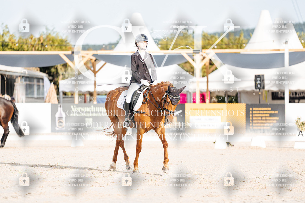 CK903751 | Turnierfotografie Pferdefotografie Trier Rheinland-Pfalz Pferdesport Reitsport Tierfotografie Sportfotografie Pferdevideo Pferdevideografie Equestrianvideography equestrianphotography  - Realisiert mit Pictrs.com