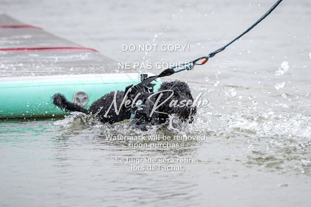 nelerasche_Hulsbeek_Sa1030-1100_39 | nelerasche