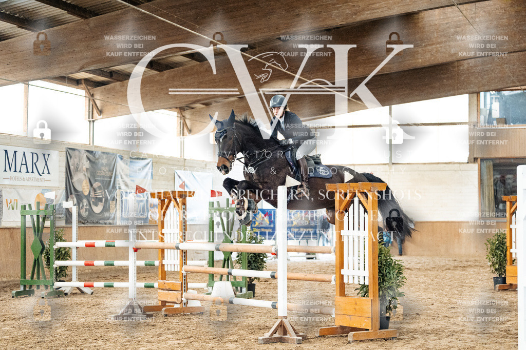 CK906245 | Turnierfotografie Pferdefotografie Trier Rheinland-Pfalz Pferdesport Reitsport Tierfotografie Sportfotografie Pferdevideo Pferdevideografie Equestrianvideography equestrianphotography  - Realized with Pictrs.com