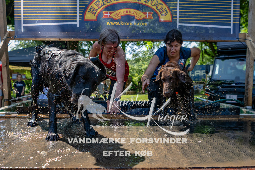 1320_ZZ91308 | kk-dogfotos