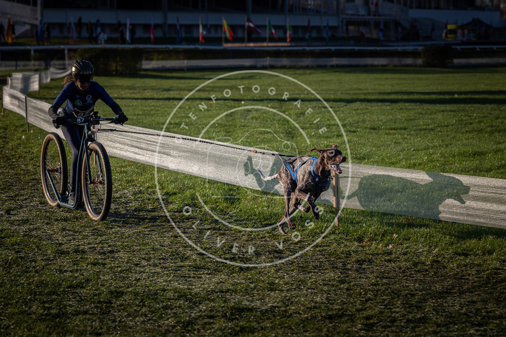 CaniXpix_0L8A3486 | Hundefotografie, Tierfotograf, Pfotenfotografie, Fotoshooting Hund, Hunde Portrait, Hundesport, Hundeportraits, Heideshooting, Hunde, Sportfotograf, Hundefotograf, Turnierhundsport, THS,  - Realisiert mit Pictrs.com