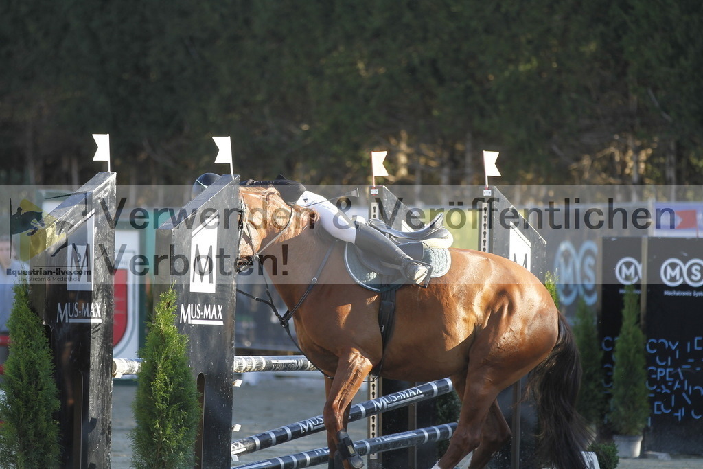 _MG_1119 | equestrian-live-com
