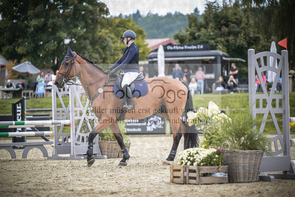 DOS_0355 | Entdecke hochwertige Reitturnierfotos von Foto Oger. Professionell, emotional und authentisch – jetzt Lieblingsmomente im Shop bestellen.Deutschlandweite Turnierfotografie. - Realisiert mit Pictrs.com