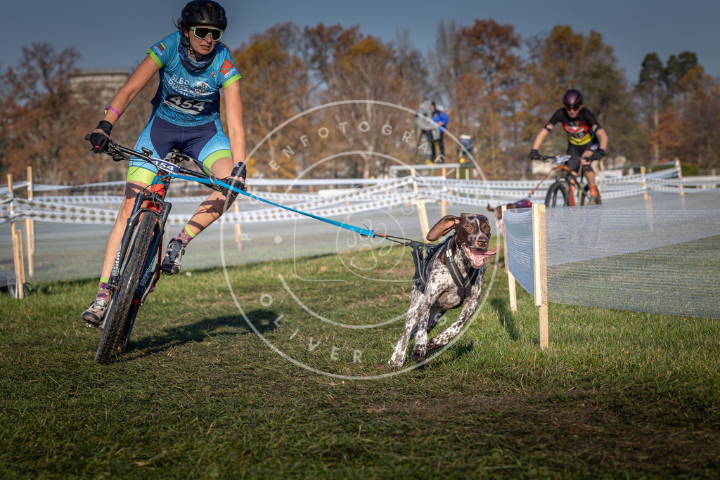 CaniXpix_0L8A4428 | Hundefotografie, Tierfotograf, Pfotenfotografie, Fotoshooting Hund, Hunde Portrait, Hundesport, Hundeportraits, Heideshooting, Hunde, Sportfotograf, Hundefotograf, Turnierhundsport, THS,  - Realisiert mit Pictrs.com