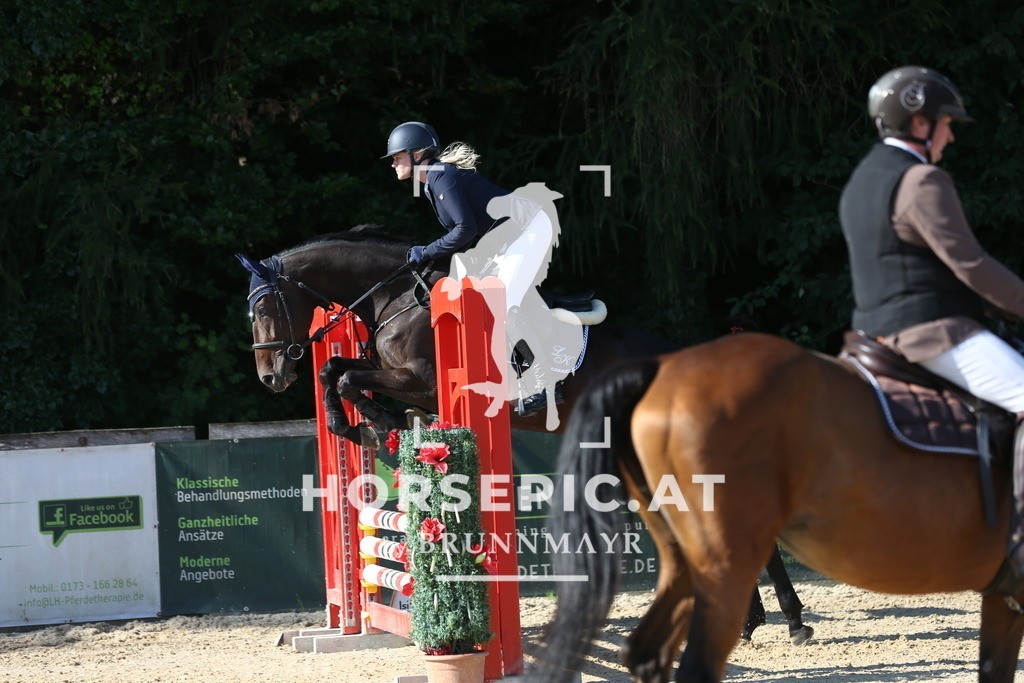 DL2Q7848 | Willkommen bei Brunnmayr - Design & Fotografie – Ihrem Spezialisten für Reitturniere und Pferdeveranstaltungen in Oberösterreich, Salzburg und Bayern! Seit über 17 Jahren sind wir leidenschaftlich dabei.