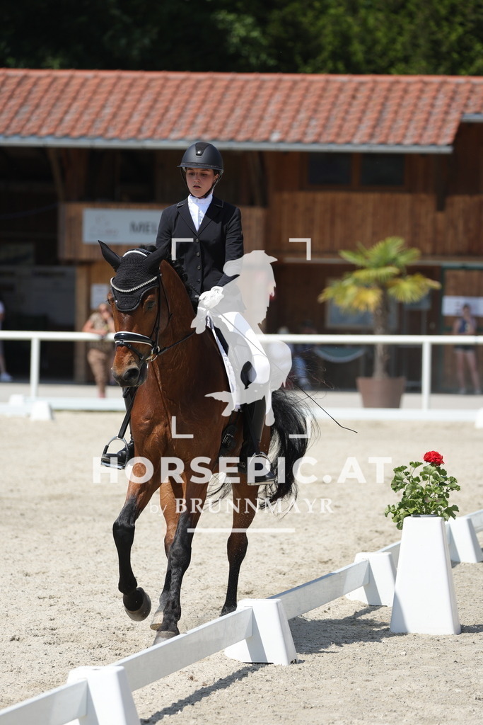 0P6A1213 | Willkommen bei Brunnmayr - Design & Fotografie – Ihrem Spezialisten für Reitturniere und Pferdeveranstaltungen in Oberösterreich, Salzburg und Bayern! Seit über 17 Jahren sind wir leidenschaftlich dabei.