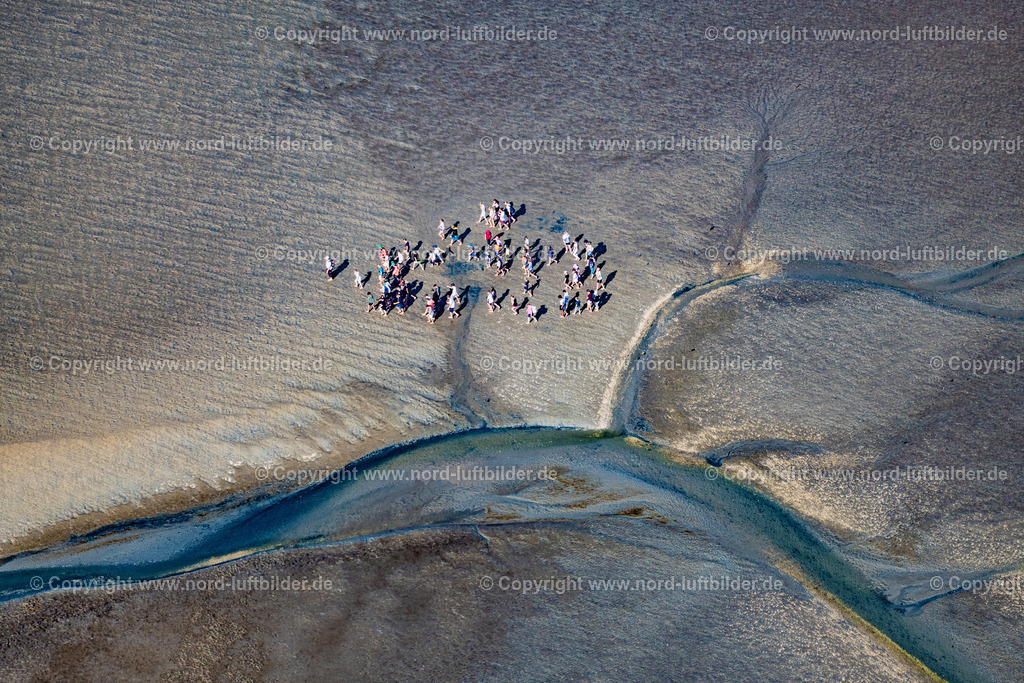 Norderney_Wattenmeer_Wattwanderung_ELS_6140050923 | NORDERNEY 05.09.2023 Wattwanderung eine Gruppe im Wattenmeer vor Norderney im Bundesland Niedersachsen, Deutschland. // A group hiking on the Wadden Sea in front of Norderney in the state of Lower Saxony, Germany. Foto: Martin Elsen