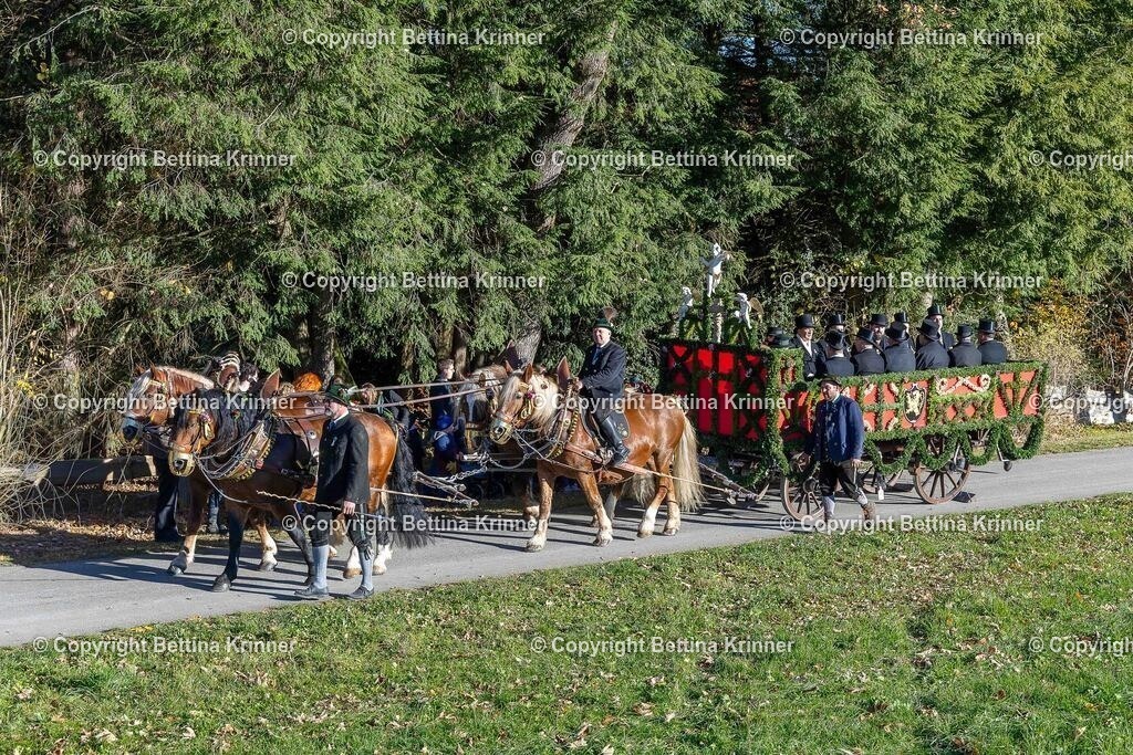 LBT25-36 | foto-bettina-krinner - Realisiert mit Pictrs.com
