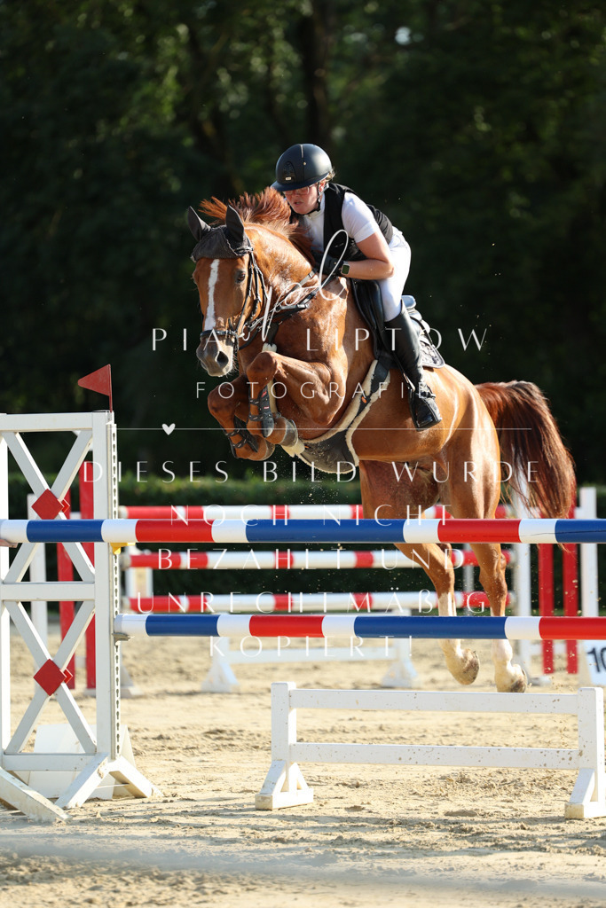 IMGM3949 | pl-fotografie