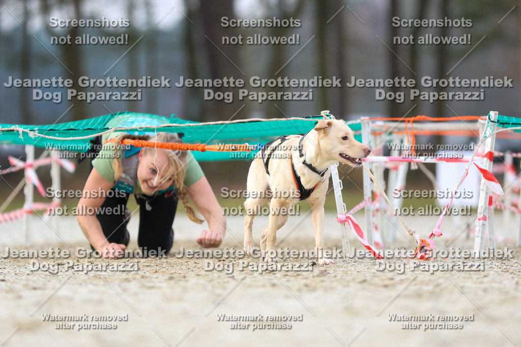 Dog Paparazzi - Strongdog North Mrz26-3772 | Dog Paparazzi Jeanette Grottendiek Fotografie & Videografie - Realisiert mit Pictrs.com
