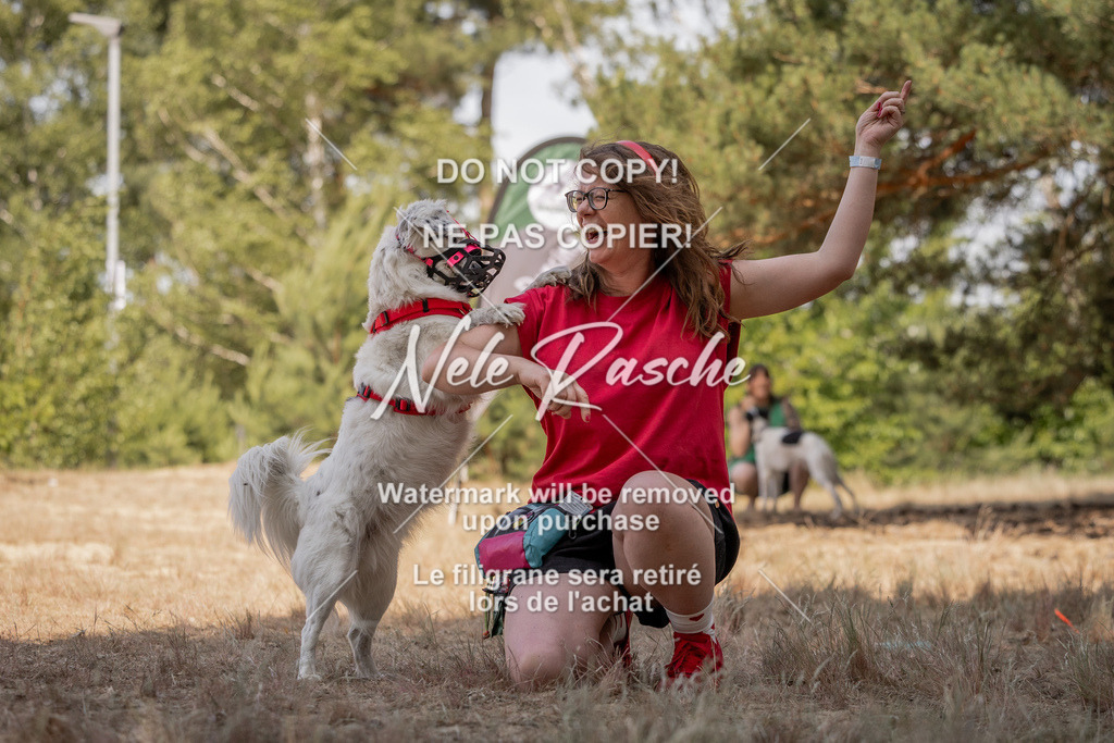 nelerasche_soDD2_413 | nelerasche