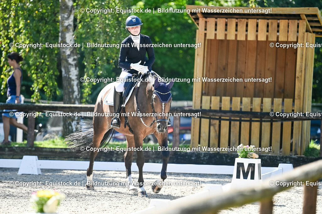 20230908_06_Dressur-L-Trense_0470 | equistock