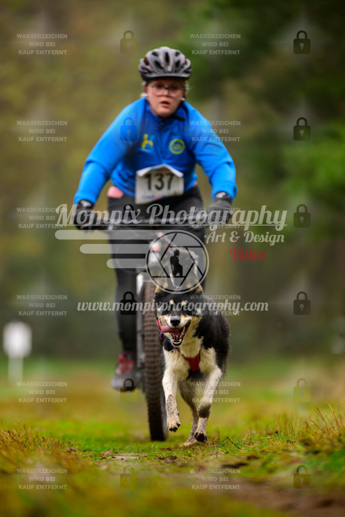 MompixPhotography_Bischwiller2025_Bike-106 | mompixphotography