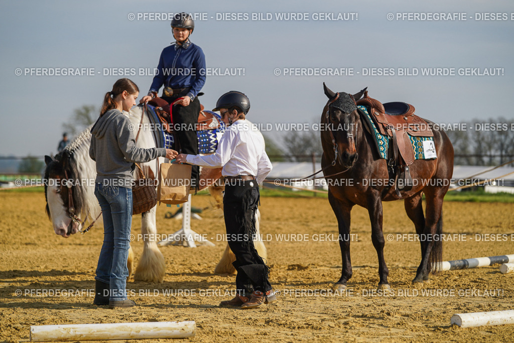 DSC00950 | Pferdegrafie