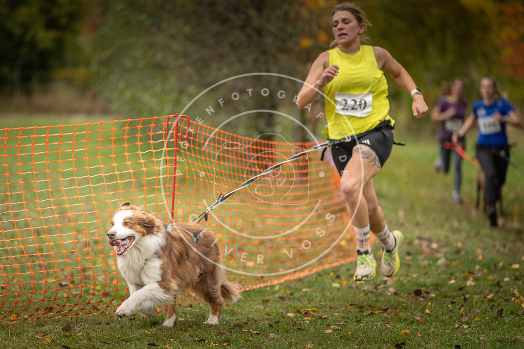 Pfotenfotografie_DV3A4513 | Hundefotografie, Tierfotograf, Pfotenfotografie, Fotoshooting Hund, Hunde Portrait, Hundesport, Hundeportraits, Heideshooting, Hunde, Sportfotograf, Hundefotograf, Turnierhundsport, THS,  - Realisiert mit Pictrs.com