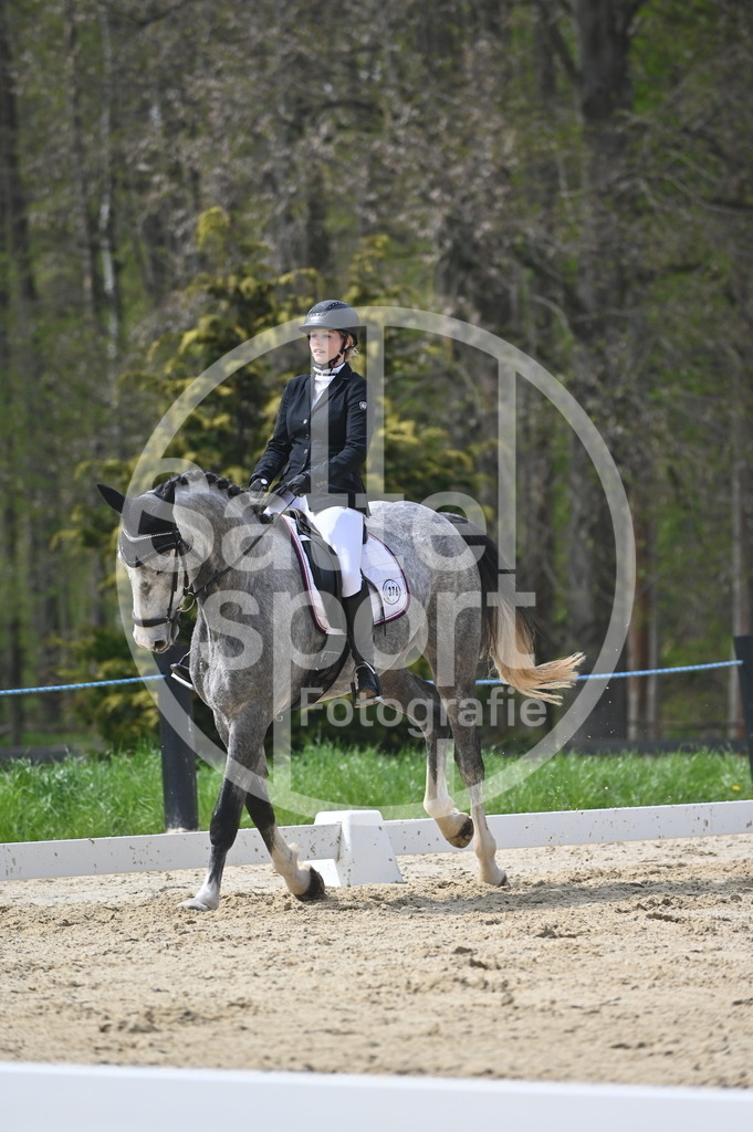 DSC_3598 | sattelsport - Realisiert mit Pictrs.com