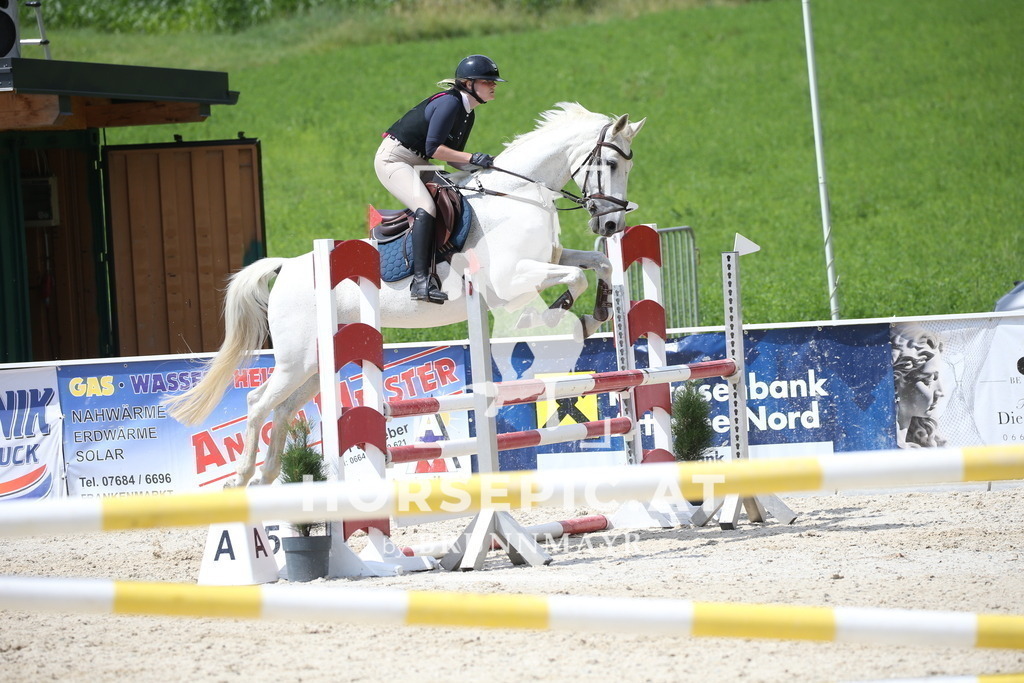 DL2Q1648 | Willkommen bei Brunnmayr - Design & Fotografie – Ihrem Spezialisten für Reitturniere und Pferdeveranstaltungen in Oberösterreich, Salzburg und Bayern! Seit über 17 Jahren sind wir leidenschaftlich dabei.