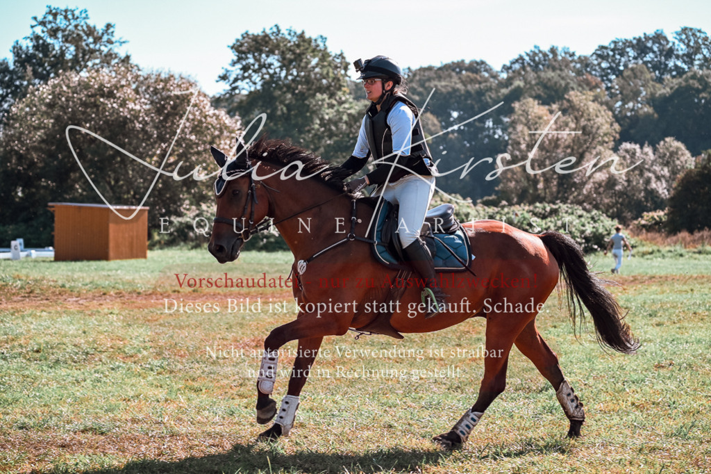 DSC_0730 | Pferde- und Turnierfotografie in Westsachsen. Pferdeportraits, Auftragszeichnungen und intuitive Kunst.