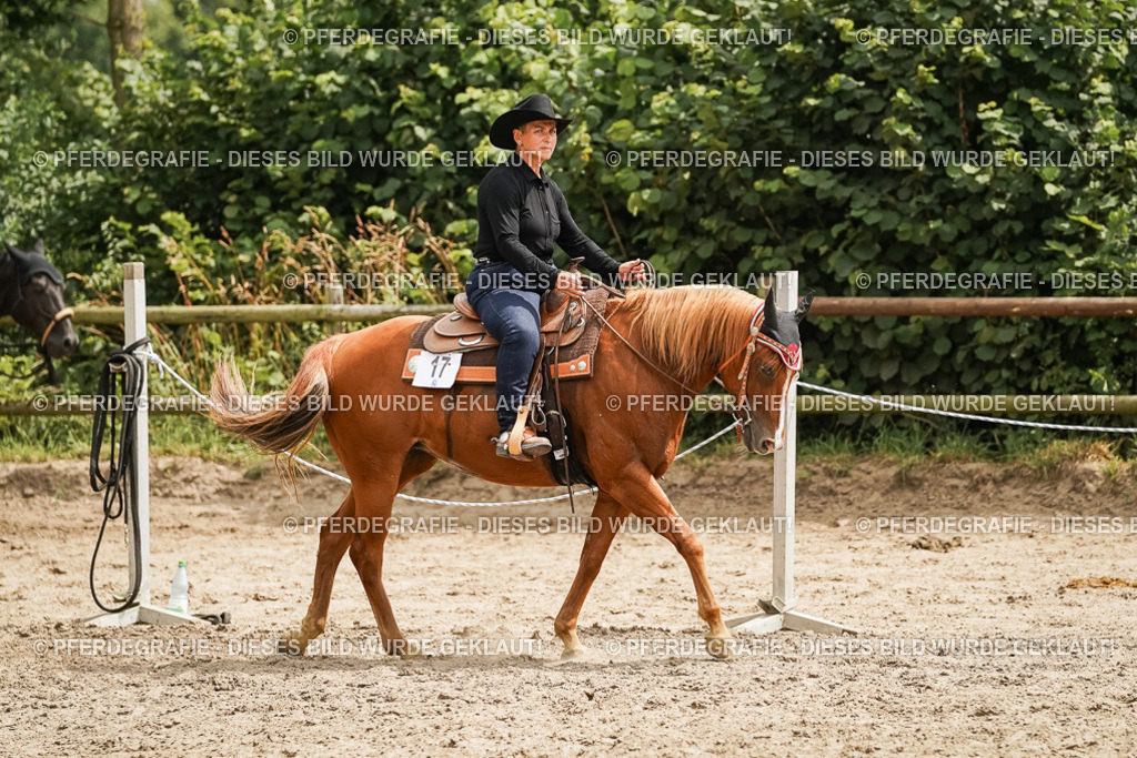 DSC00537 | Pferdegrafie