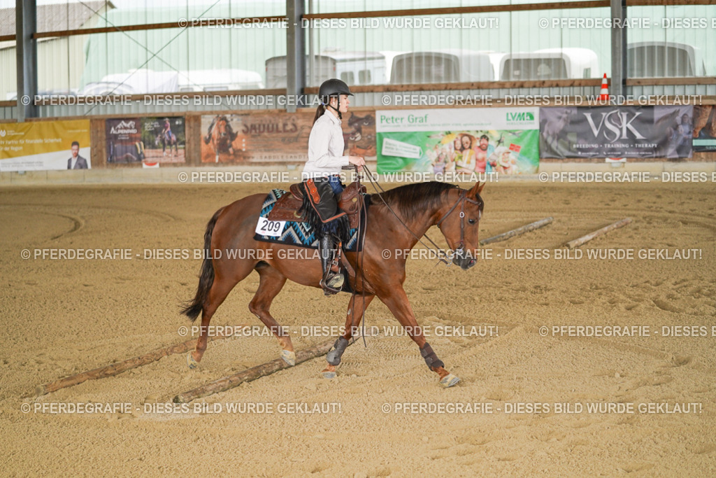 DSC05976 | Pferdegrafie