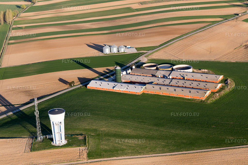 Vue aérienne: Vue de la ville à Oberlauterbach dans le département Bas Rhin, France. Photo: IMG_097849.jpg prise le 27/03/2017 par Werner Riehm/FLY-FOTO.euRésolution de l'original: 5472 x 3648 px