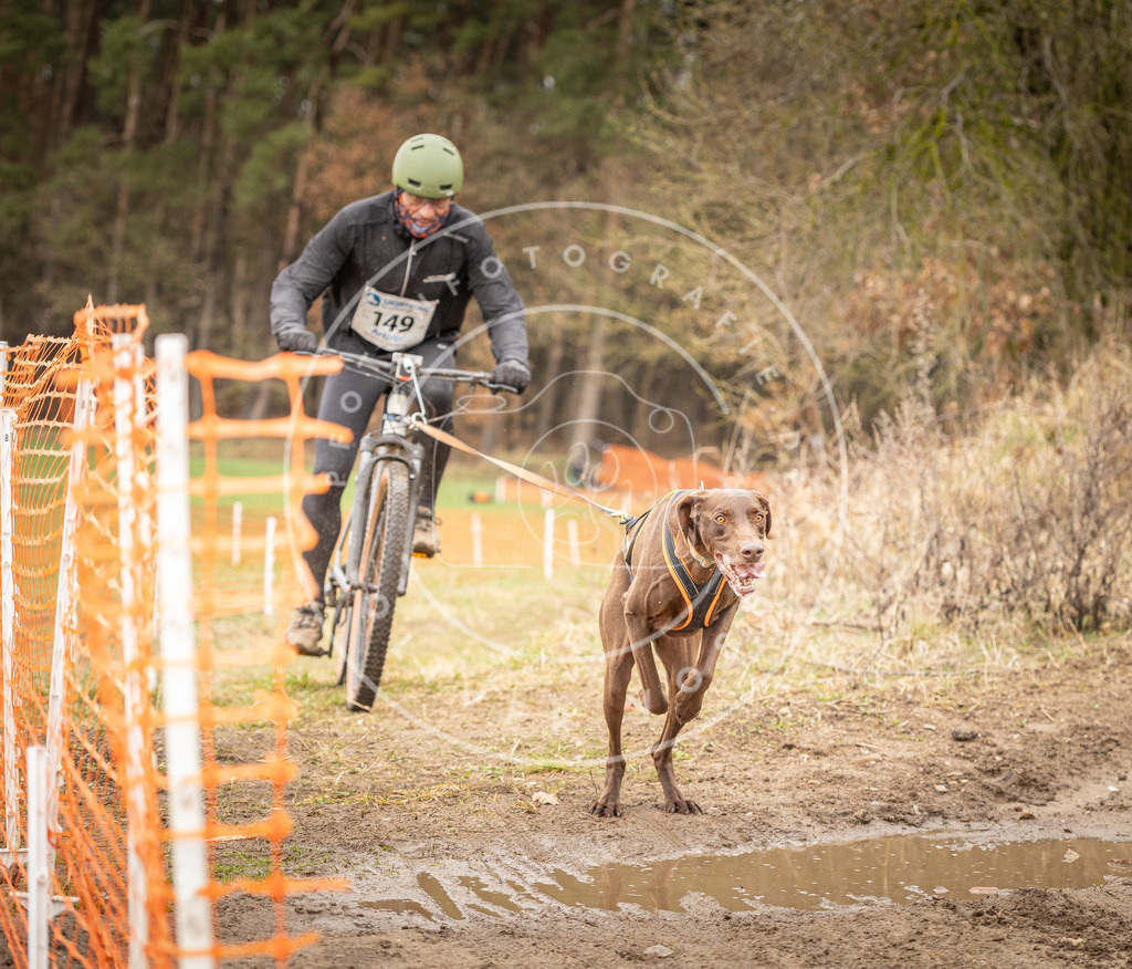 DV3A1190 | Hundefotografie, Tierfotograf, Pfotenfotografie, Fotoshooting Hund, Hunde Portrait, Hundesport, Hundeportraits, Heideshooting, Hunde, Sportfotograf, Hundefotograf, Turnierhundsport, THS,  - Realisiert mit Pictrs.com