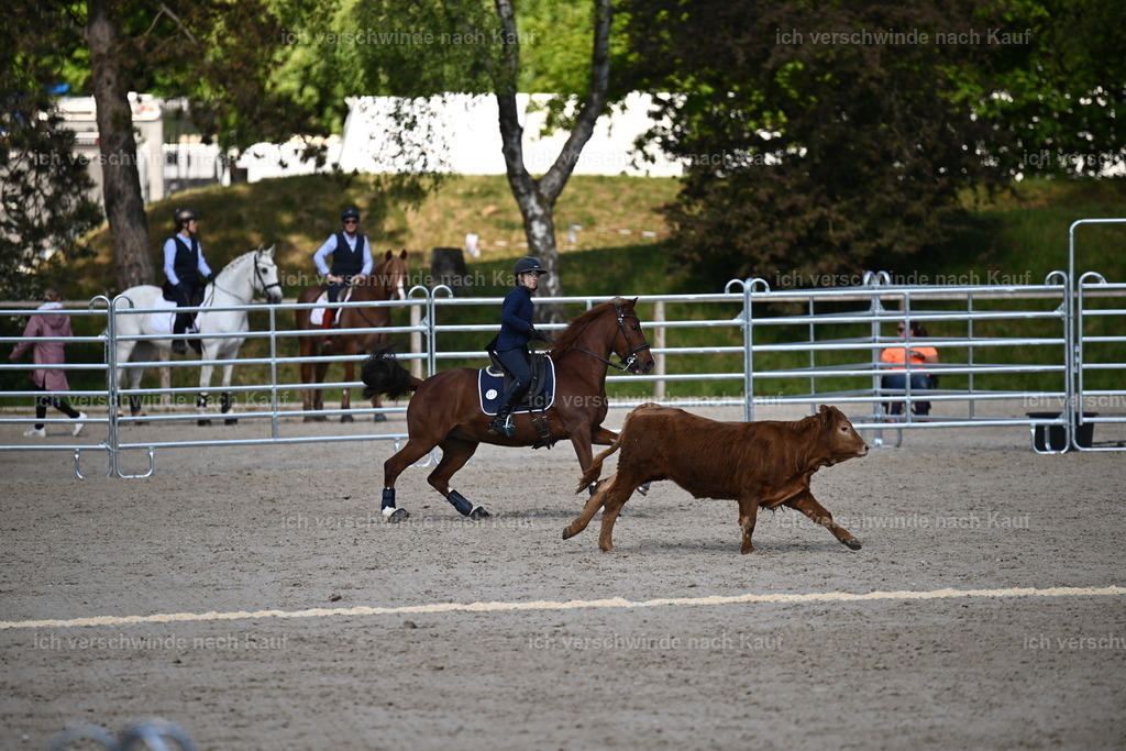 PI26_COW_Sara Landvogt226_7126.JPG | working equitationturnier fotograf videograf stoibphotography marixx film working equitation deutschland reitsport turnierfotografie eventfotografie equestrian events