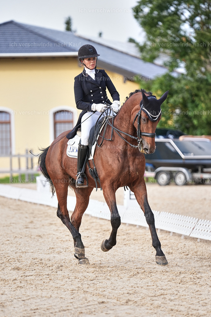 13-072-S___ -Marixx-7071 | working equitationturnier fotograf videograf stoibphotography marixx film working equitation deutschland reitsport turnierfotografie eventfotografie equestrian events